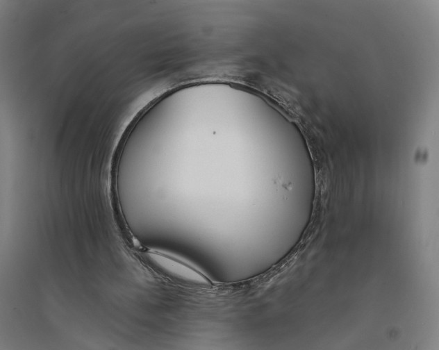 X0000094360148200711301433