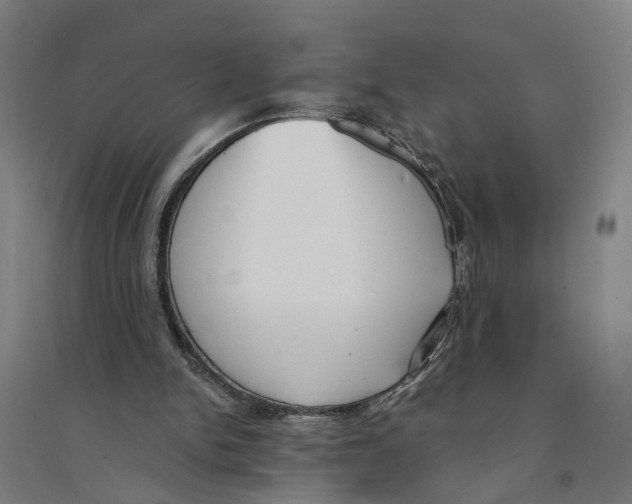 X0000094360150200711301433