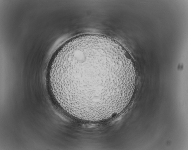 X0000094360151200711301433