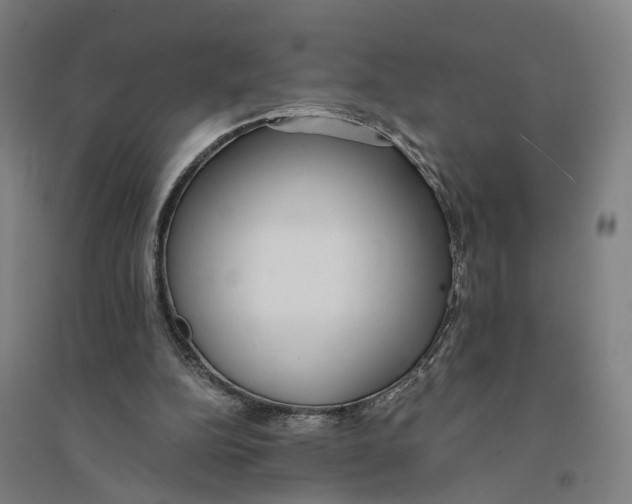 X0000094360152200711301433