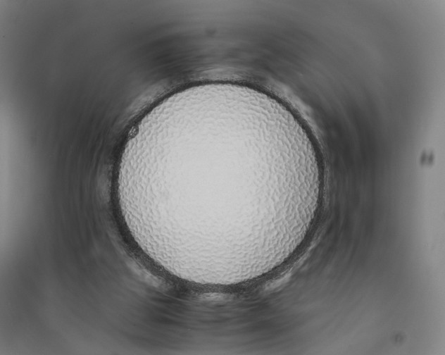 X0000094360153200711301433