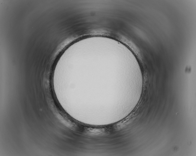 X0000094360155200711301433