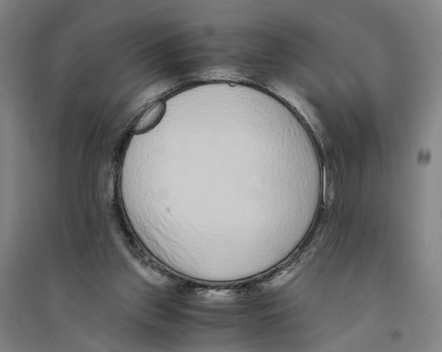 X0000094360157200711301433