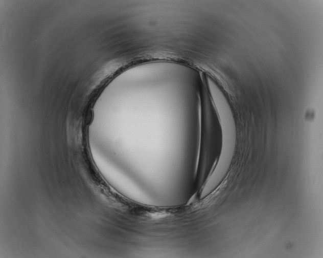 X0000094360158200711301433