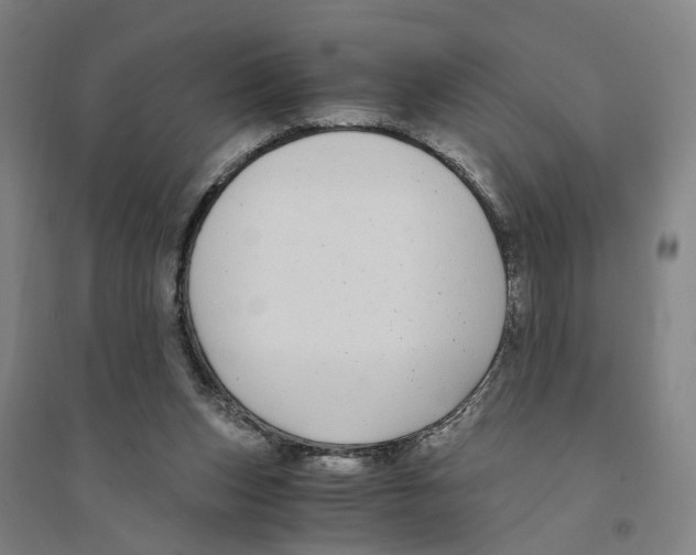 X0000094360159200711301433