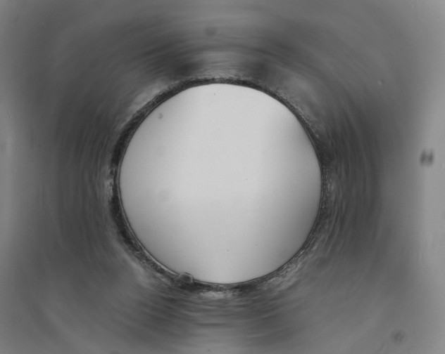 X0000094360160200711301433