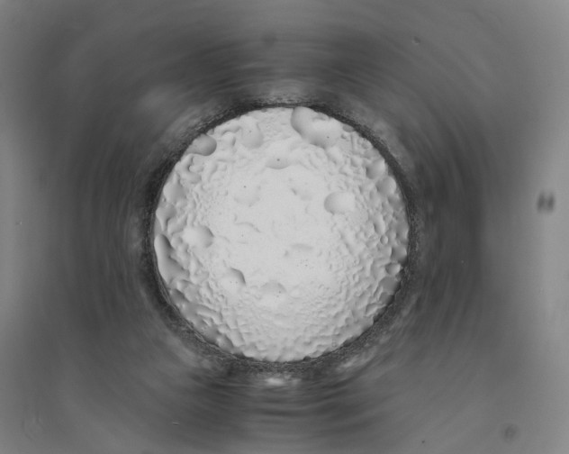 X0000094360161200711301433