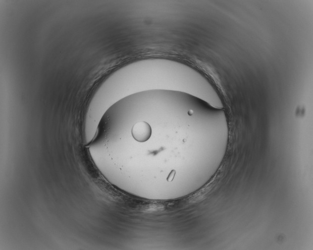 X0000094360162200711301433