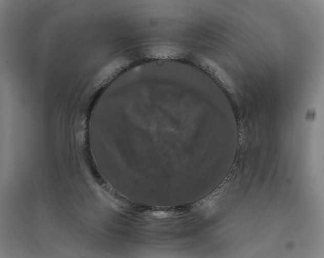 X0000094360163200711301433