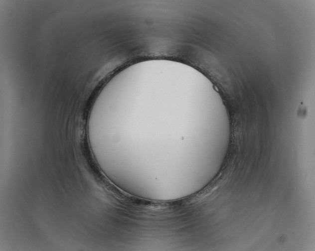 X0000094360164200711301433