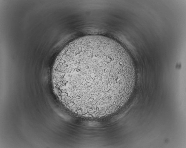 X0000094360165200711301433