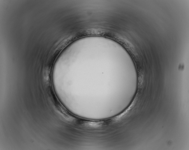 X0000094360166200711301433