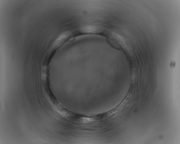 X0000094360167200711301433
