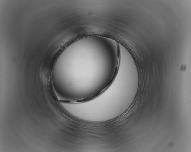 X0000094360168200711301433