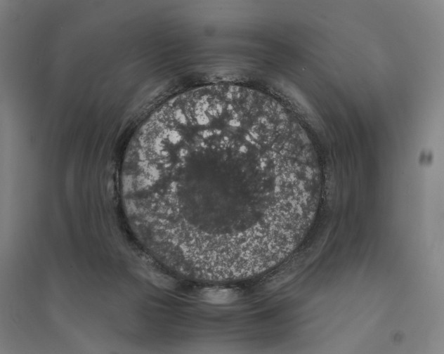 X0000094360169200711301433