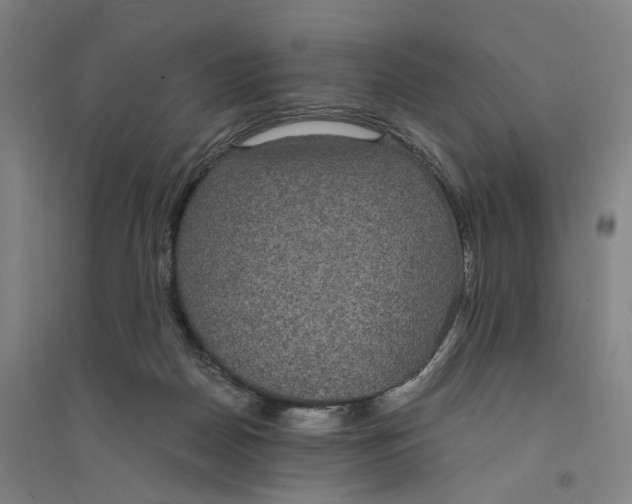 X0000094360170200711301433