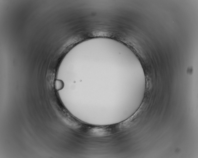 X0000094360171200711301433