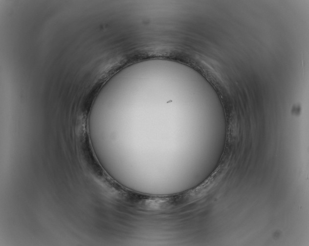 X0000094360172200711301433