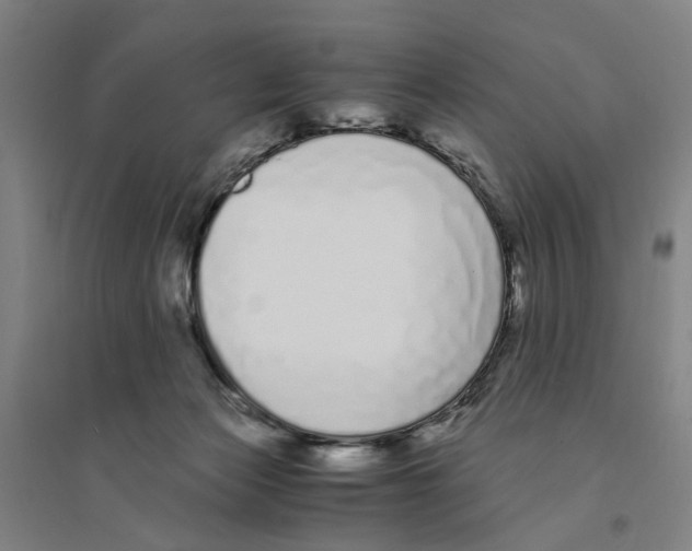 X0000094360173200711301433