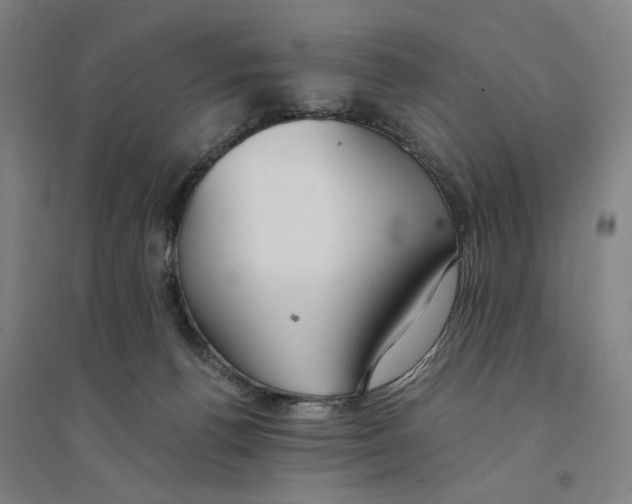 X0000094360176200711301433