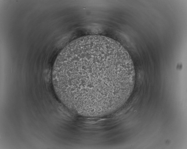 X0000094360177200711301433