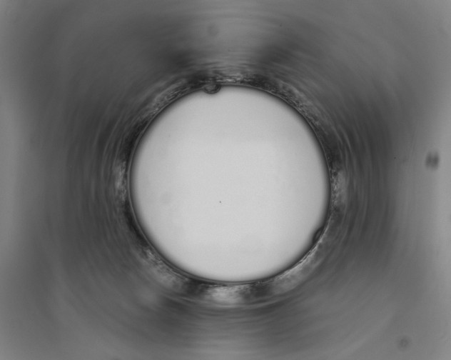 X0000094360178200711301433