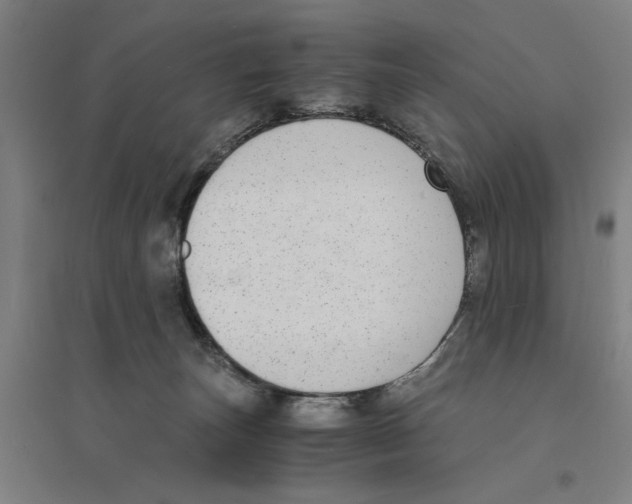 X0000094360179200711301433