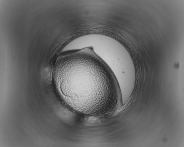 X0000094360180200711301433