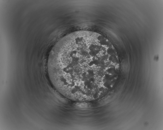 X0000094360181200711301433