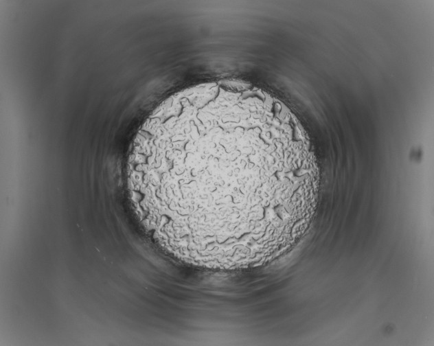 X0000094360182200711301433