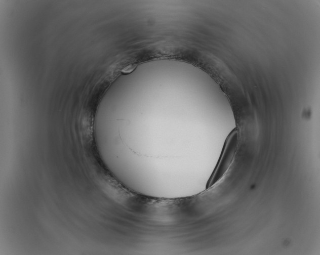 X0000094360186200711301433
