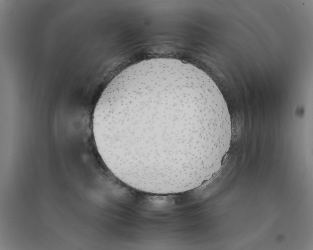 X0000094360187200711301433