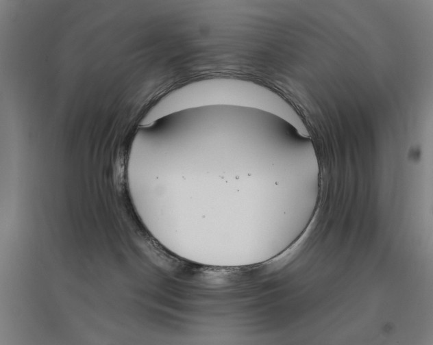 X0000094360190200711301433