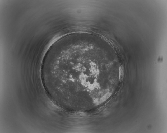 X0000094360195200711301433