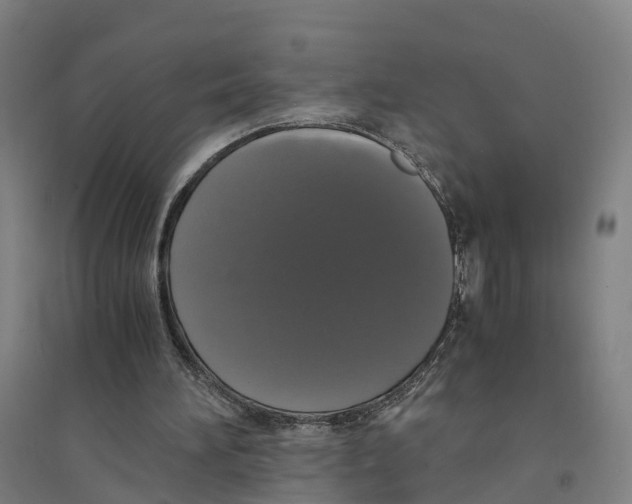 X0000094360196200711301433