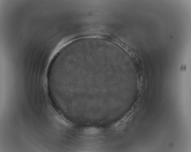 X0000094360198200711301433