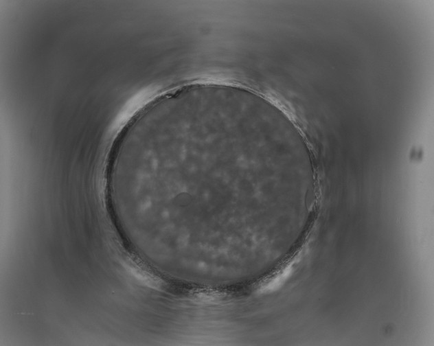 X0000094360199200711301433