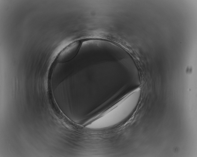 X0000094360200200711301433