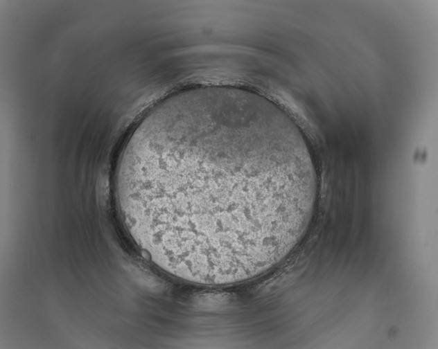 X0000094360202200711301433