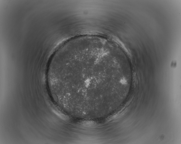 X0000094360203200711301433