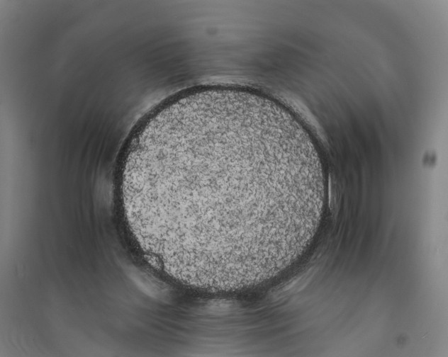 X0000094360204200711301433