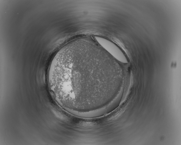 X0000094360205200711301433