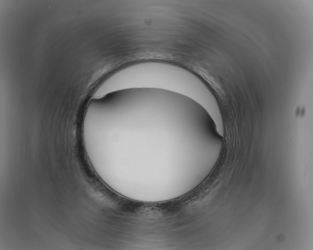 X0000094360207200711301433