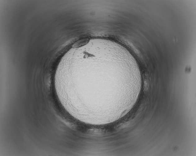 X0000094360211200711301433
