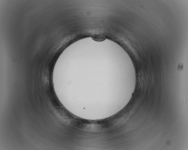 X0000094360212200711301432