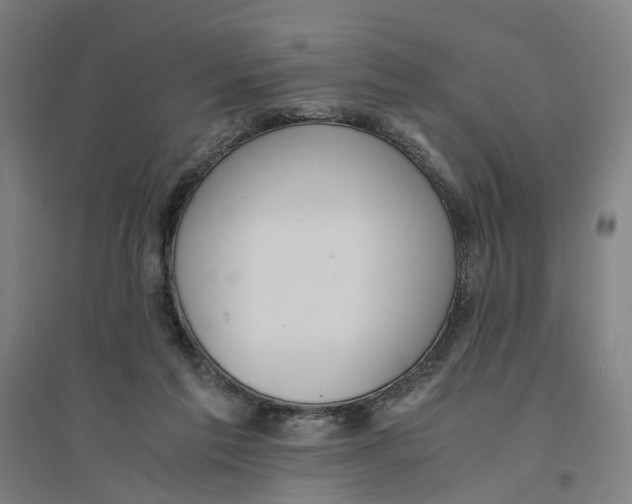 X0000094360213200711301432