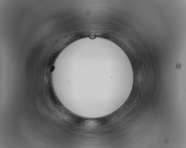 X0000094360218200711301432