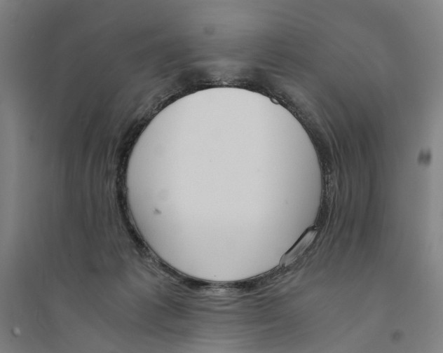X0000094360221200711301432
