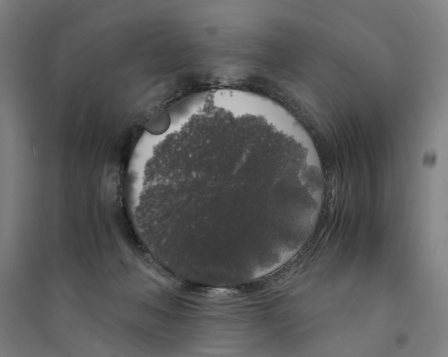 X0000094360222200711301432