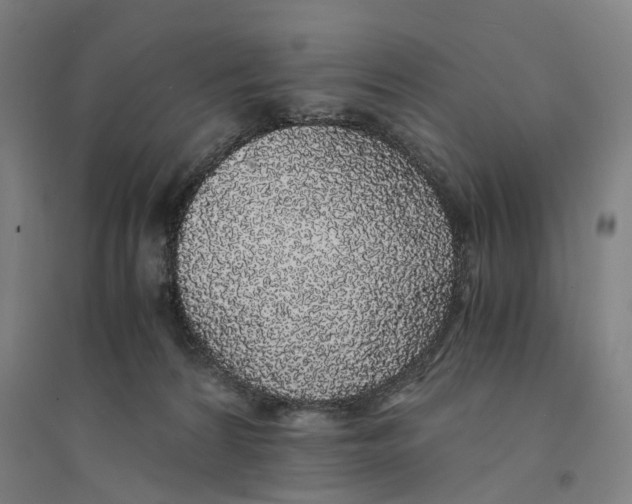 X0000094360224200711301432